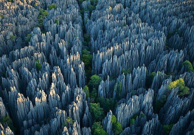 21. Taş Ormanı, Madagaskar