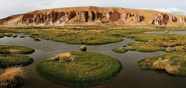 12. Lauca Milli Parkı, Şili