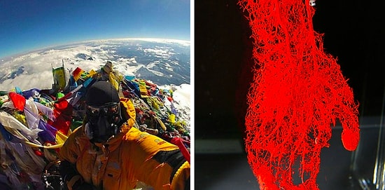 Эти 20 фото показывают обычные вещи так, как вы их точно до этого никогда не видели!