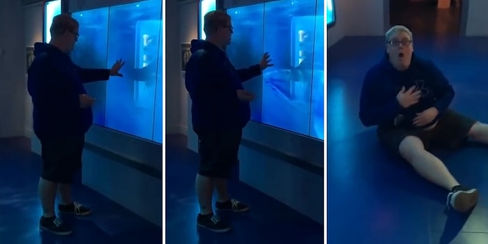 Dokunma! Uyarıya Aldırış Etmeyen Adamın Ekranı Çatlatan Köpek Balığı Karşısında Hayatının Şokunu Yaşadığı Anlar