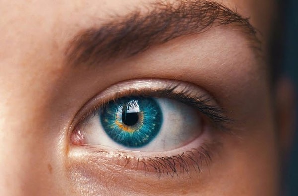 8. Псхиопатия - это психическое заболевание