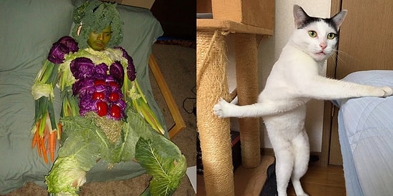 17 фото, к которым мы мечтаем узнать предысторию