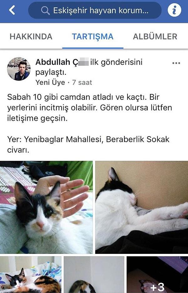 Abdullah Ç., önce kedi sahiplenmek istediğini sosyal paylaşım sitesindeki sayfasında paylaştı.