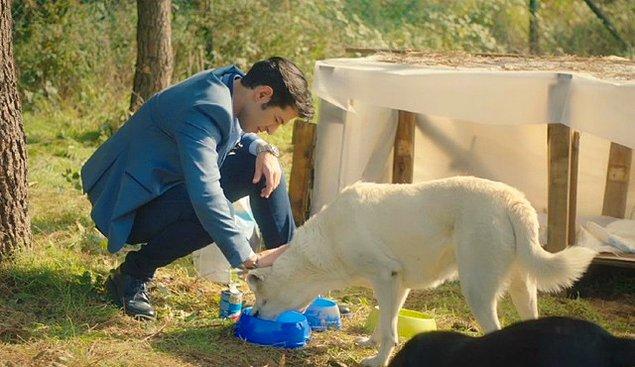 Her bölümde Serhan Aksak'ın hayvanlarla olan iyi ilişkisini görüyoruz. SMK'yı ise avlanırken görmüştük ama o nasıl bir dönüştür ki hayat onu bile vejetaryen yaptı.