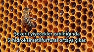 Kimisi Öldürür Diyor Kimisi Şifa: Bal Sıcak Suyla Karıştırıldığında Zehire mi Dönüşür?