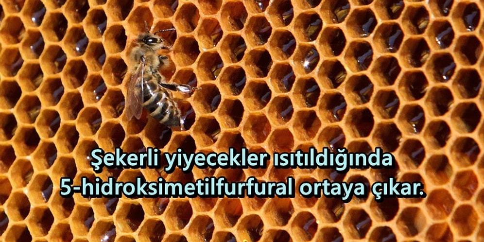 Kimisi Öldürür Diyor Kimisi Şifa: Bal Sıcak Suyla Karıştırıldığında Zehire mi Dönüşür?