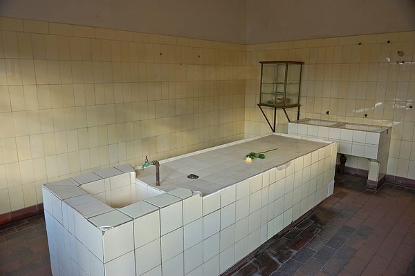 18. Роза на секционном столе Бухенвальда