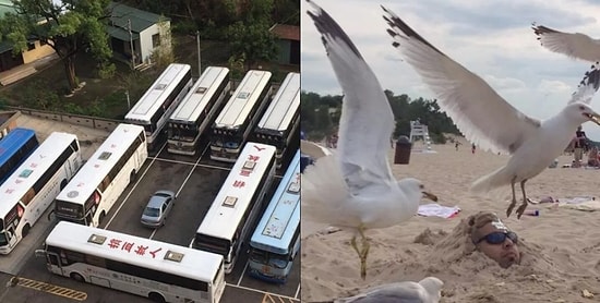 Смеяться над этими неудачниками грешно, но и сдержаться тоже невозможно 😂