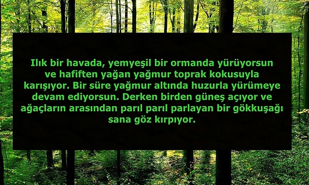 1. Bu hikayede sana en iyi hissettiren, mutlu eden ayrıntı hangisi?