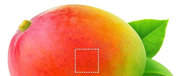 Показать правильный ответ