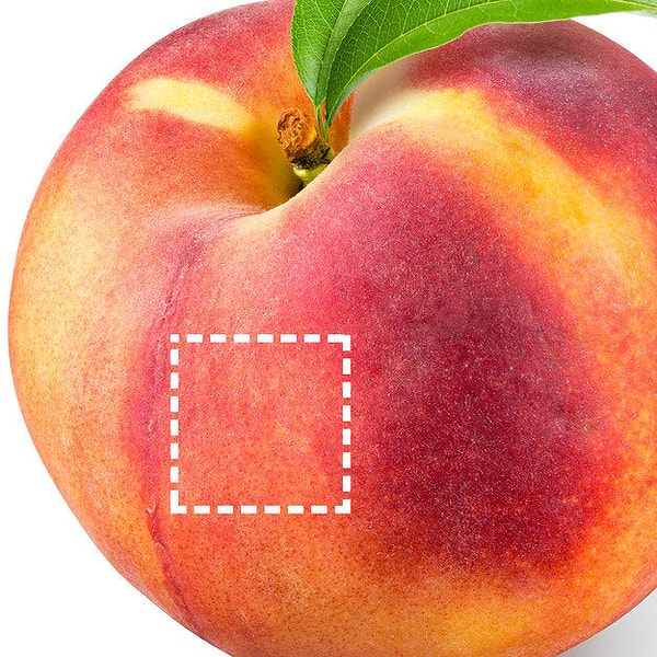 Показать правильный ответ