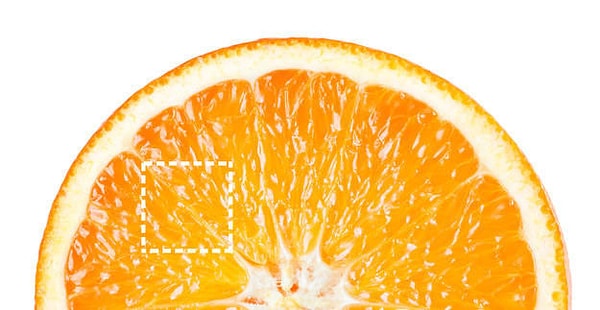 Показать правильный ответ