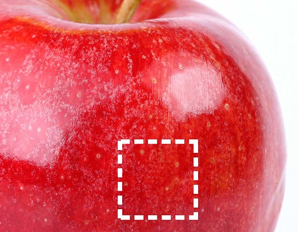 Показать правильный ответ