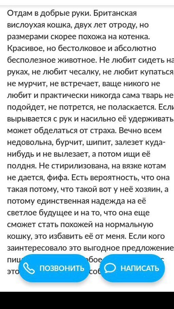 7. И снова кое-кто решил продать кошку