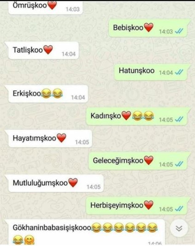 14. Bu kadar gülünecek ne vardı?