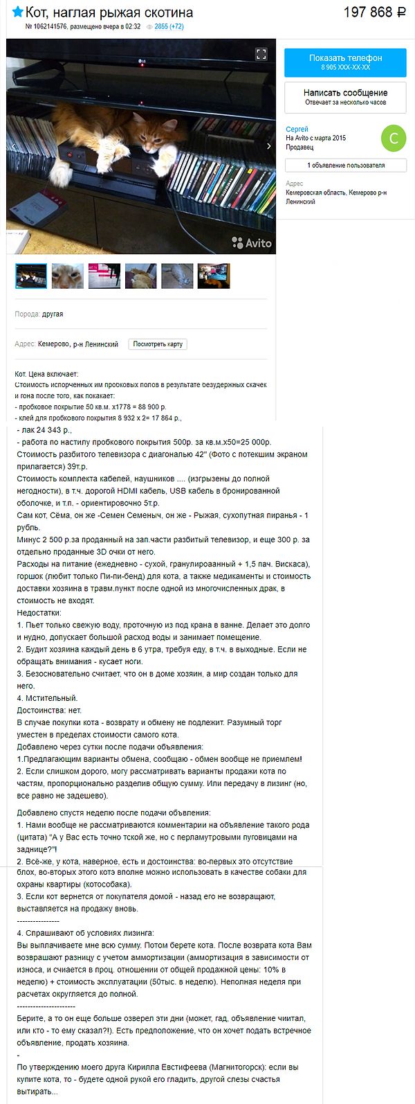 17 объявлений с Авито, которые точно рассмешат вас до слез - onedio.ru