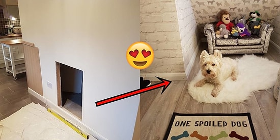 Aileye Yeni Bir Kız Kardeş Geleceğini Öğrendikten Sonra Köpeklerine Şahane Bir Oda Kuran Çift