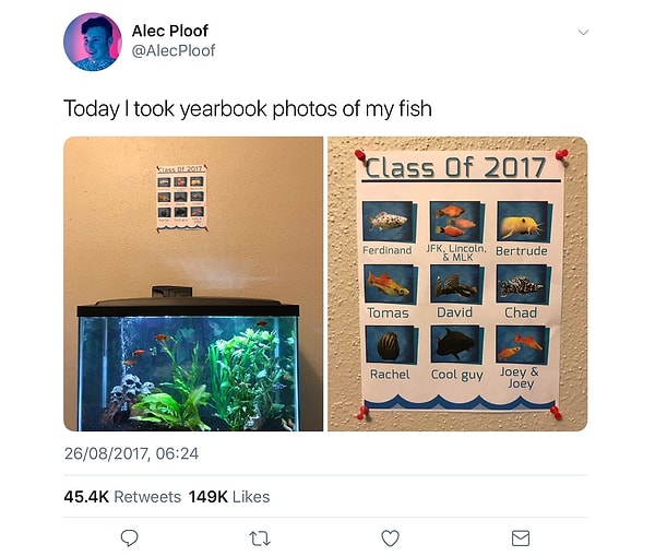 2. А этот парень сделал школьный фотоальбом для своих рыбок! 🐠🐟🐡
