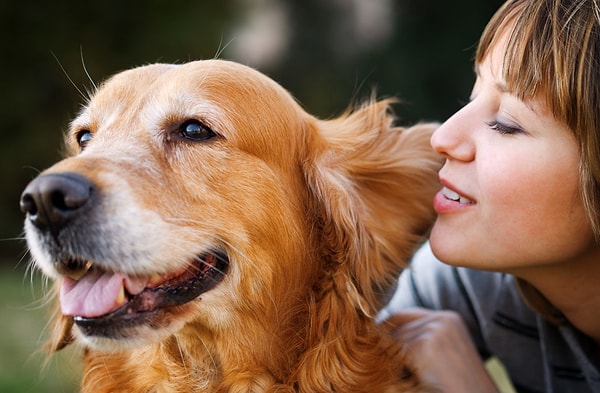 11. Разговаривать со своей собакой, как с человеком