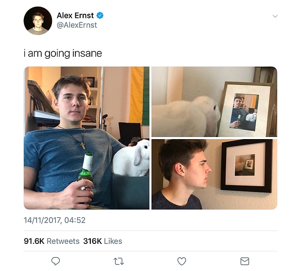 8. Этот парень творит искусство вместе со своим кроликом 🐇