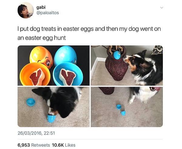 9. Как вовлечь свою собаку в празднование пасхи