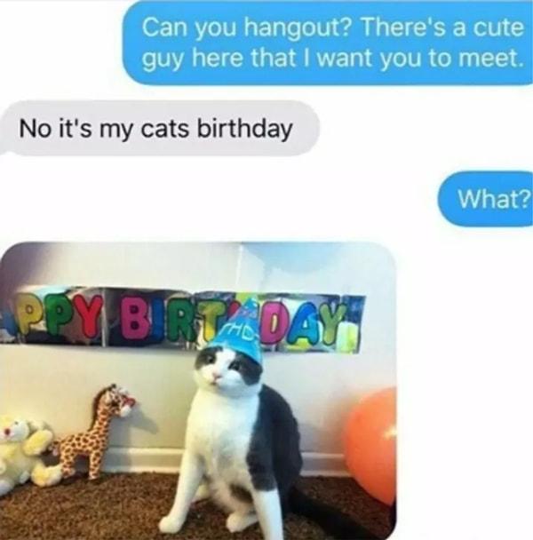 13. +Dışarı çıkabilecek misin? Seni tanıştırmak istediğim çok tatlı bir çocuk var -Hayır, bugün kedimin doğum günü +Ne?