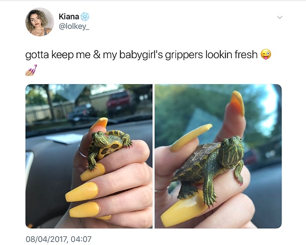 16. Эта девушка поддерживает коготки своей черепашки в форме 😝