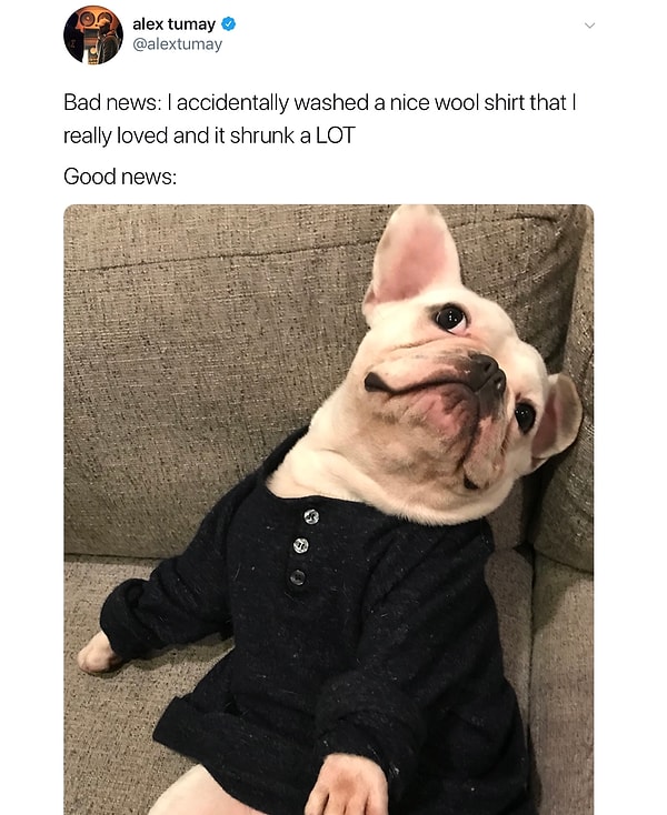 17. «Плохие новости: я случайно постирал свой любимый шерстяной пуловер в горячей воде, и он сильно сел. Хорошие новости: 👇»