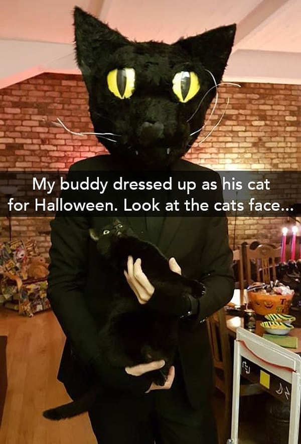 18. Этот парень нарядился в костюм своего кота на Хэллоуин 🎃
