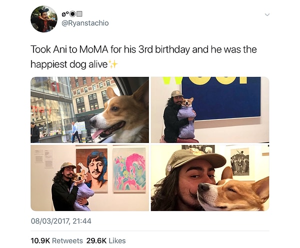 19. И, наконец, поумиляйтесь, глядя на этого парня, который целый день праздновал 3-й день рождения своей собаки, которая выглядит счастливейшей на всем белом свете 😁