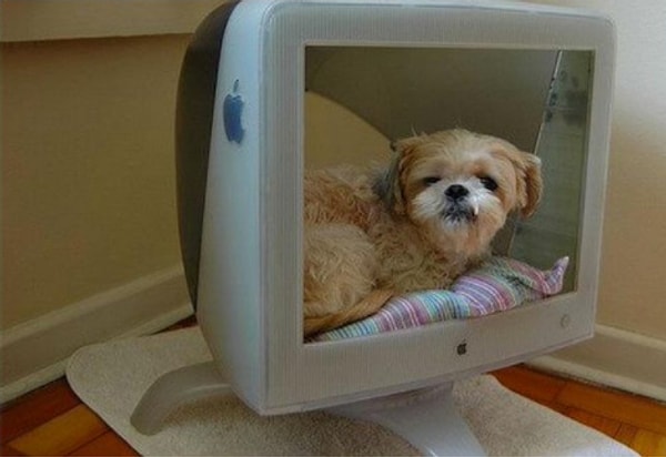 10. Домик для пёсы