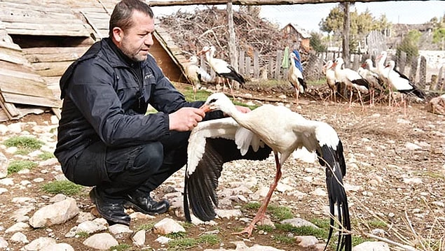 9. Bir alkıştan daha fazlası: Veteriner Öztürk Sarıca, ailesinden beş kişiyi kanserden kaybettikten sonra doğal köy projesini hayata geçirdi
