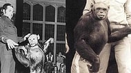 100 Yıl Önce ABD Laboratuvarlarında Doğduğu ve Öldürüldüğü İddia Edilen İnsan-Şempanze Melezi: Humanzee!