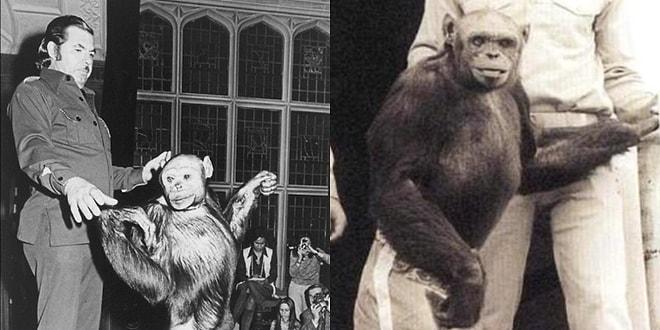 100 Yıl Önce ABD Laboratuvarlarında Doğduğu ve Öldürüldüğü İddia Edilen İnsan-Şempanze Melezi: Humanzee!
