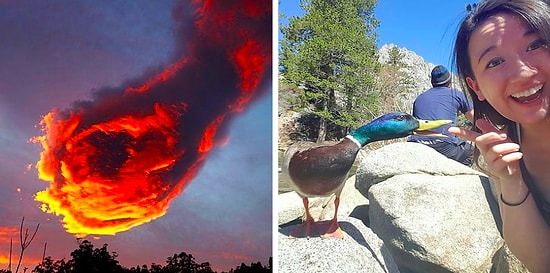 15 фото, которые были сделаны так вовремя, что просто диву даёшься! 📸