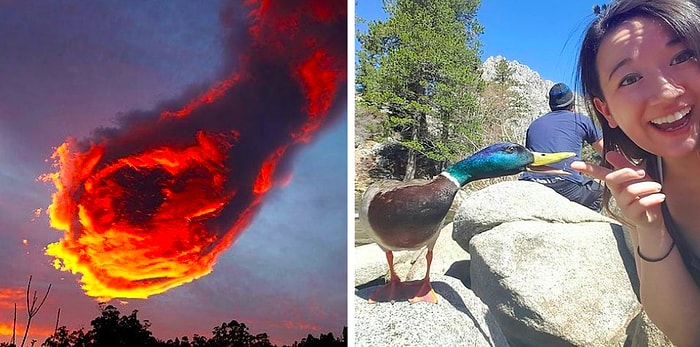 15 фото, которые были сделаны так вовремя, что просто диву даёшься! 📸