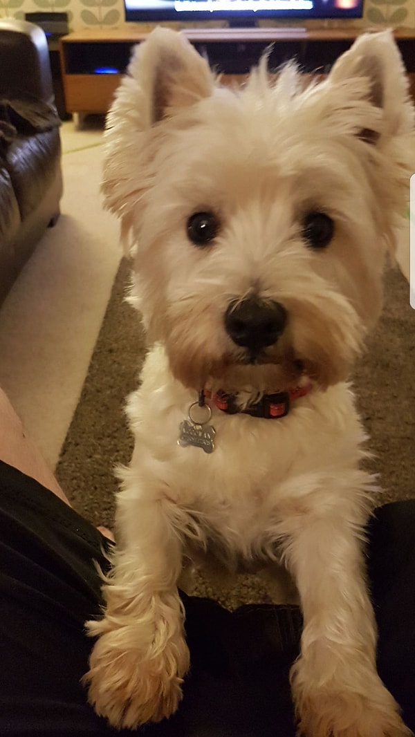 Майкл Макгоуэн решил сделать для Молли отдельную комнату, чтобы она не чувствовала себя забытой с появлением младенца в семье.