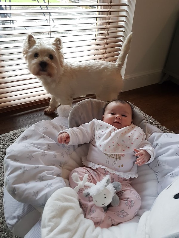 Посмотрите, как мило смотрятся эти две сестрички ☺️