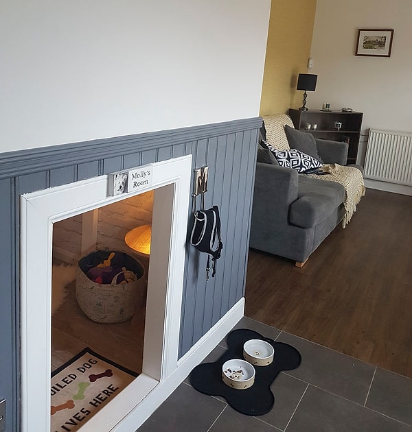 С новосельем, Молли!