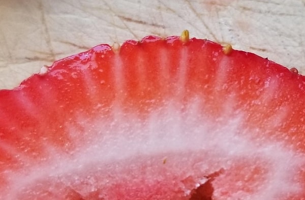 13. Белые линии, которые вы видите внутри клубничной ягоды, на самом деле представляют собой структуру, которая соединяет семена снаружи клубники с ее ядром