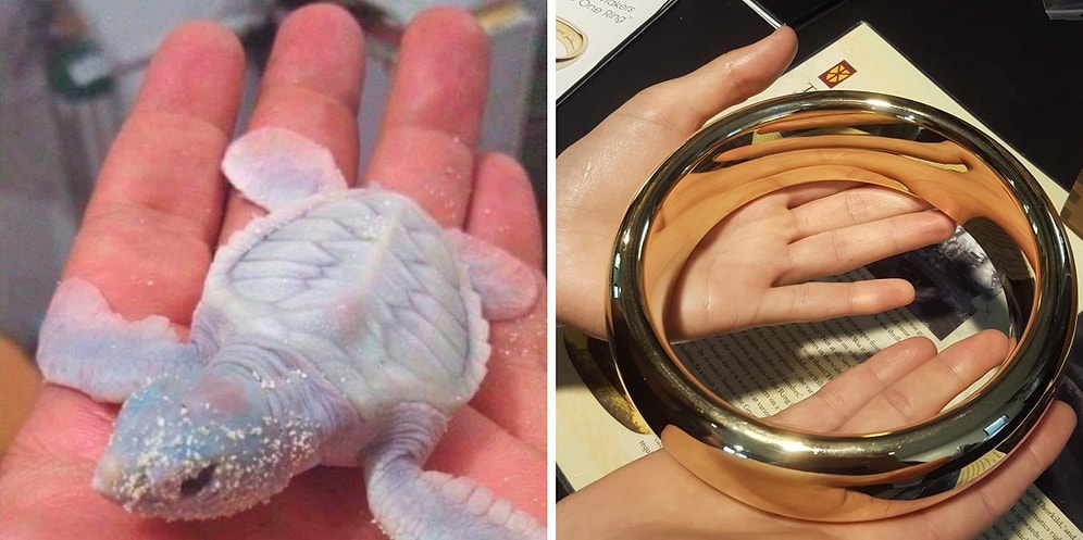 Увидев эти фото, вы поймете, что в этом мире еще столько всего удивительного!