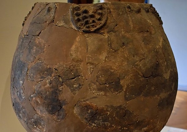 2. Они начали изготавливать первое вино