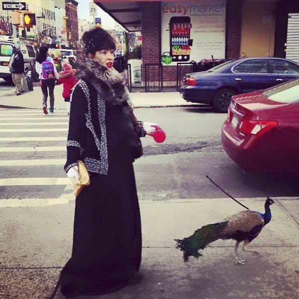 5. Однако вся эта шумиха помогла миру узнать о потрясающем Инстаграм-аккаунте Декстера 😍