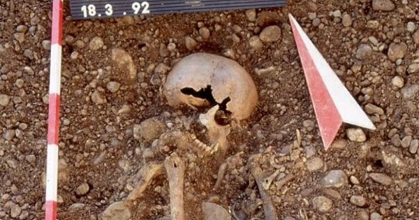 9. Чума возникла в Каменном веке