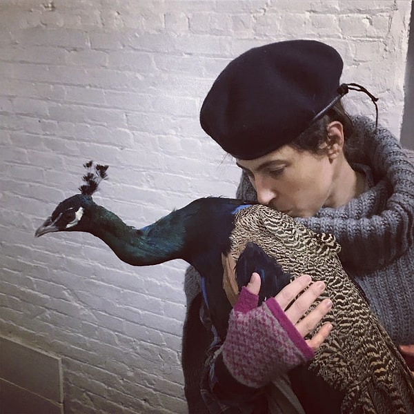 9. ...но позже девушка узнала, что в новом доме павлин часто остается в одиночестве, и поэтому взяла его к себе 💙