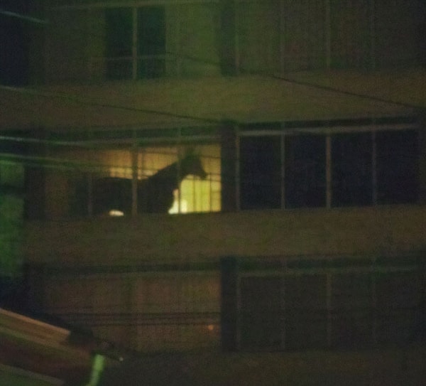 15. Интересненько...