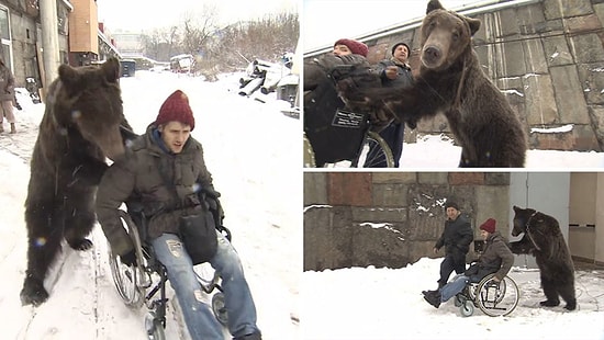 Tekerlekli Sandalyedeki Adam ile Ayının Muhteşem Dostluğu