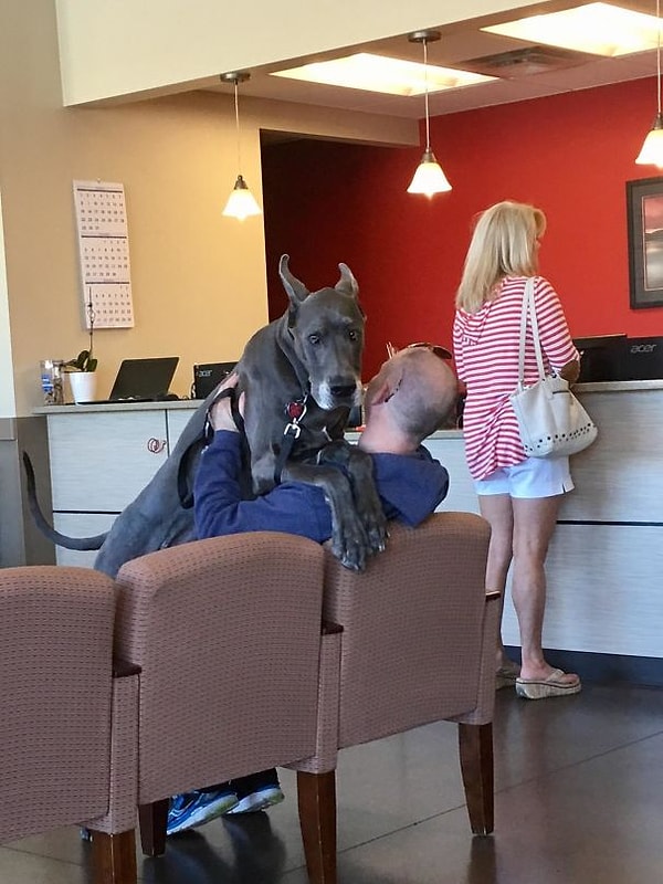 2. Напуганный маленький щенок в ожидании своего приема 😆