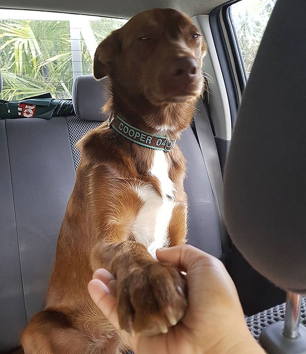 14. "Нет, твои сладкие речи в этот раз не прокатят"