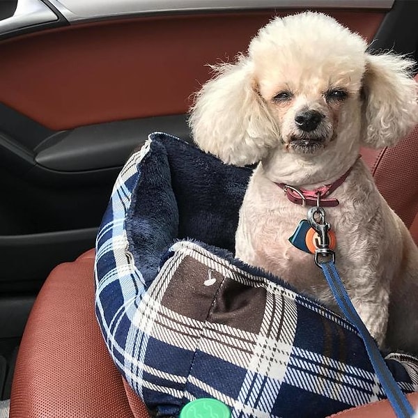 23. Кажется, кто-то будет мстить